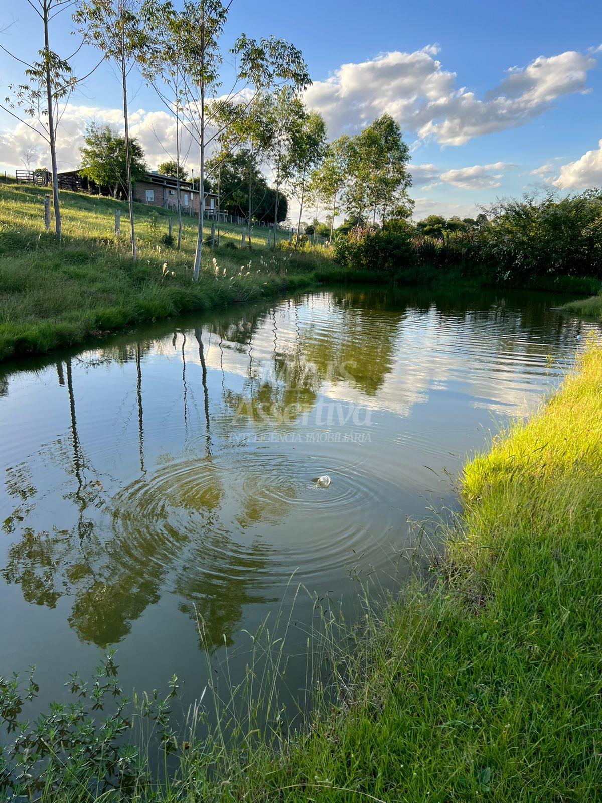 Chácara de 10 hectares para venda em Lomba Grande, Novo Hamburgo