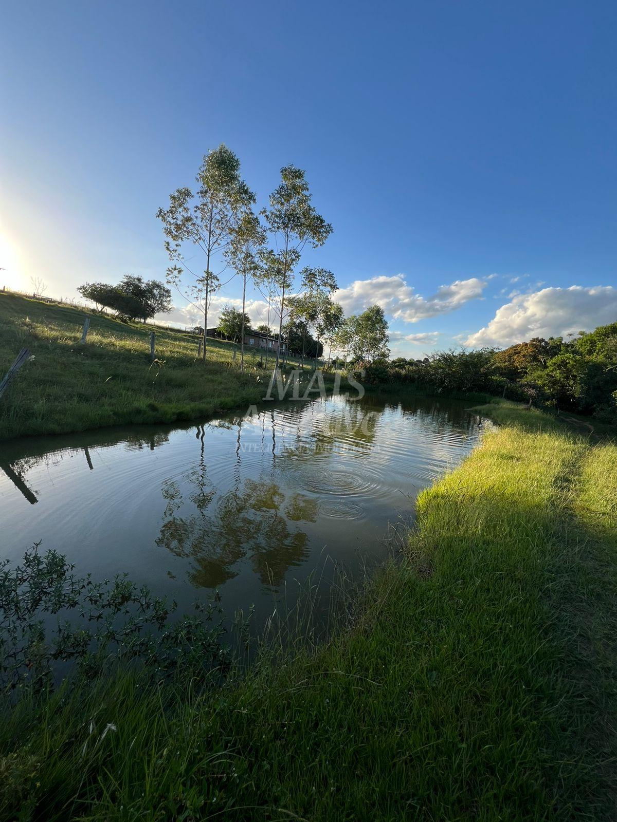 Chácara de 10 hectares para venda em Lomba Grande, Novo Hamburgo