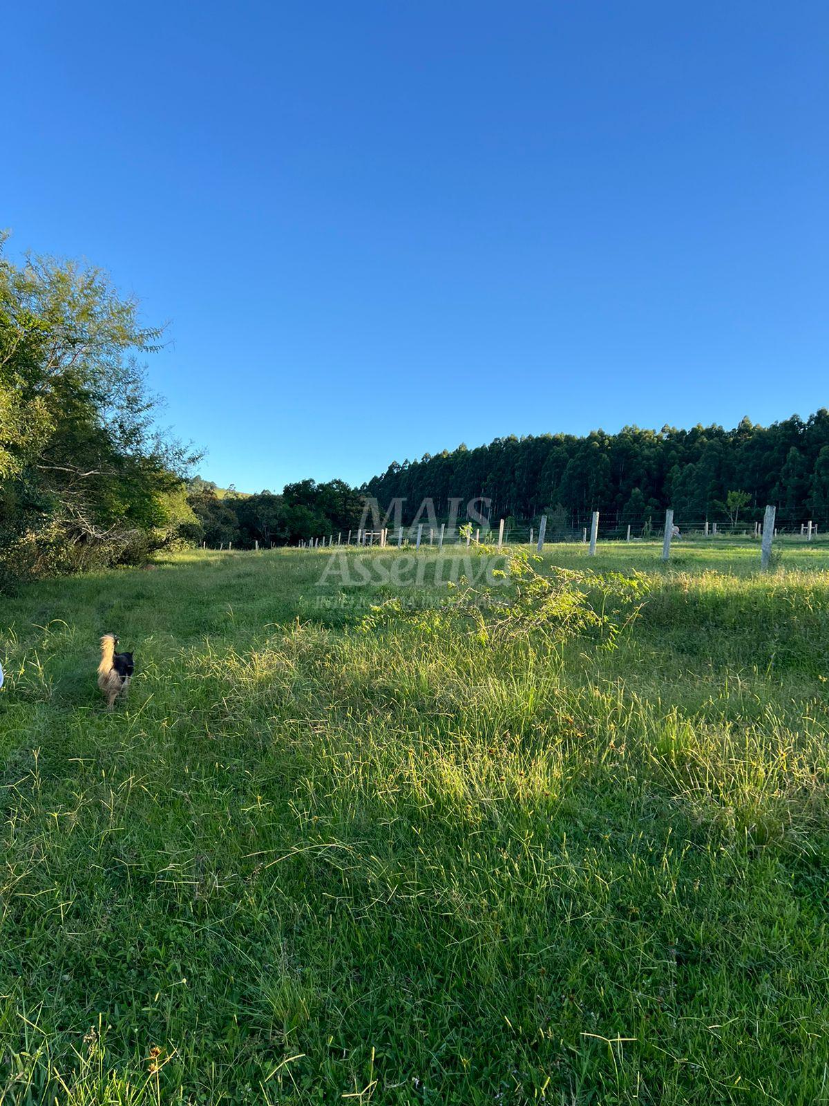 Chácara de 10 hectares para venda em Lomba Grande, Novo Hamburgo