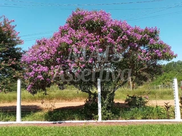 Sitio para venda de 2.400m² em São Sebastião do Cai/RS. 