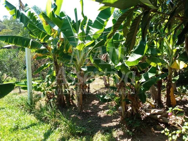 Sitio para venda de 2.400m² em São Sebastião do Cai/RS. 