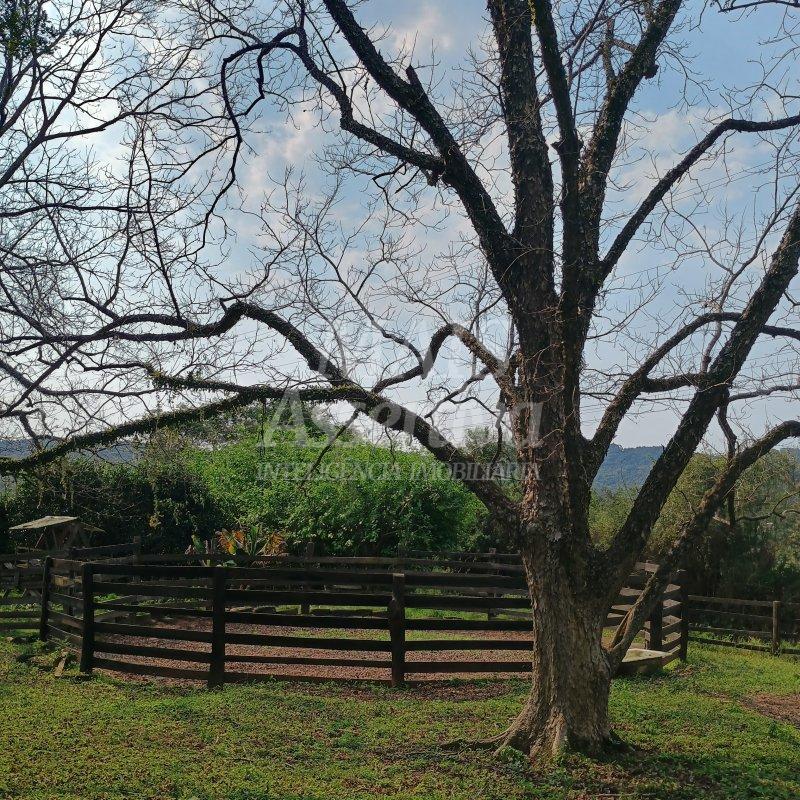 Chácara para venda em Lomba Grande, Novo Hamburgo - 2 hectares 
