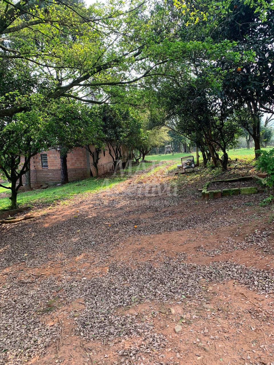 Chácara para venda em Lomba Grande, Novo Hamburgo - 2 hectares 