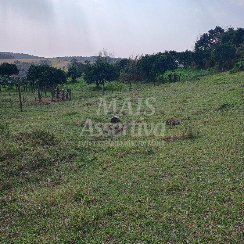 Chácara para venda em Lomba Grande, Novo Hamburgo - 2 hectares 