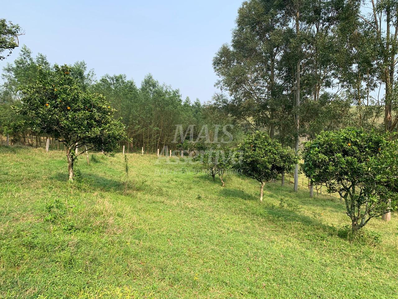 Chácara para venda em Lomba Grande, Novo Hamburgo - 2 hectares 