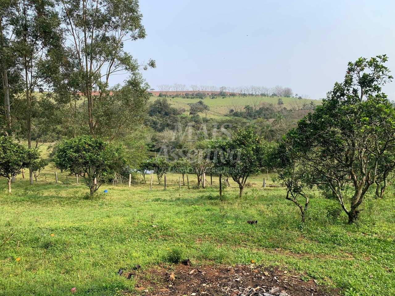 Chácara para venda em Lomba Grande, Novo Hamburgo - 2 hectares 