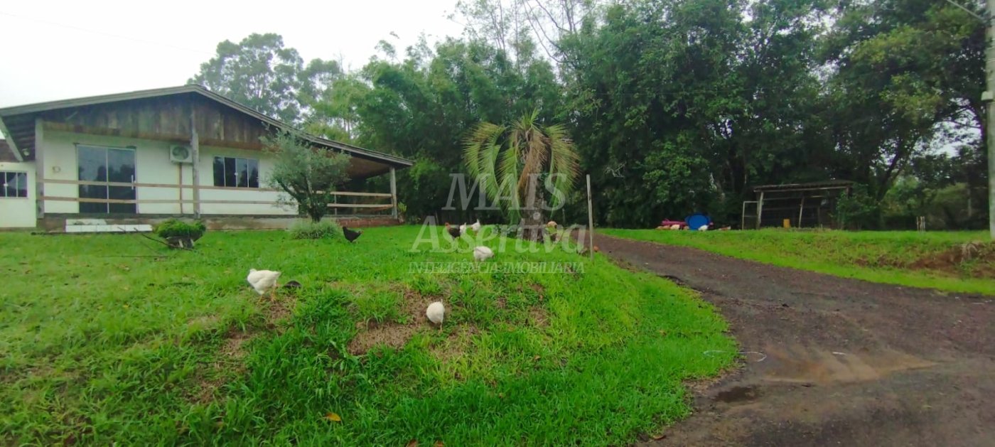Sítio / Chácara 3 quartos para Venda em São Sebastião do Caí