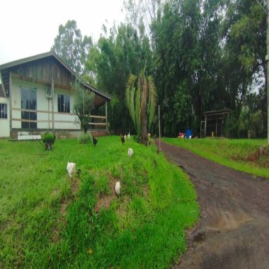 Sítio / Chácara 3 quartos para Venda em São Sebastião do Caí