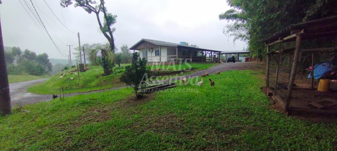 Sítio / Chácara 3 quartos para Venda em São Sebastião do Caí