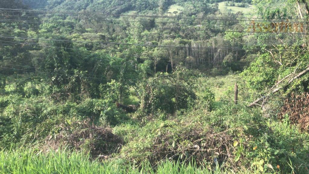 Área Industrial para Venda em Campo Bom / RS