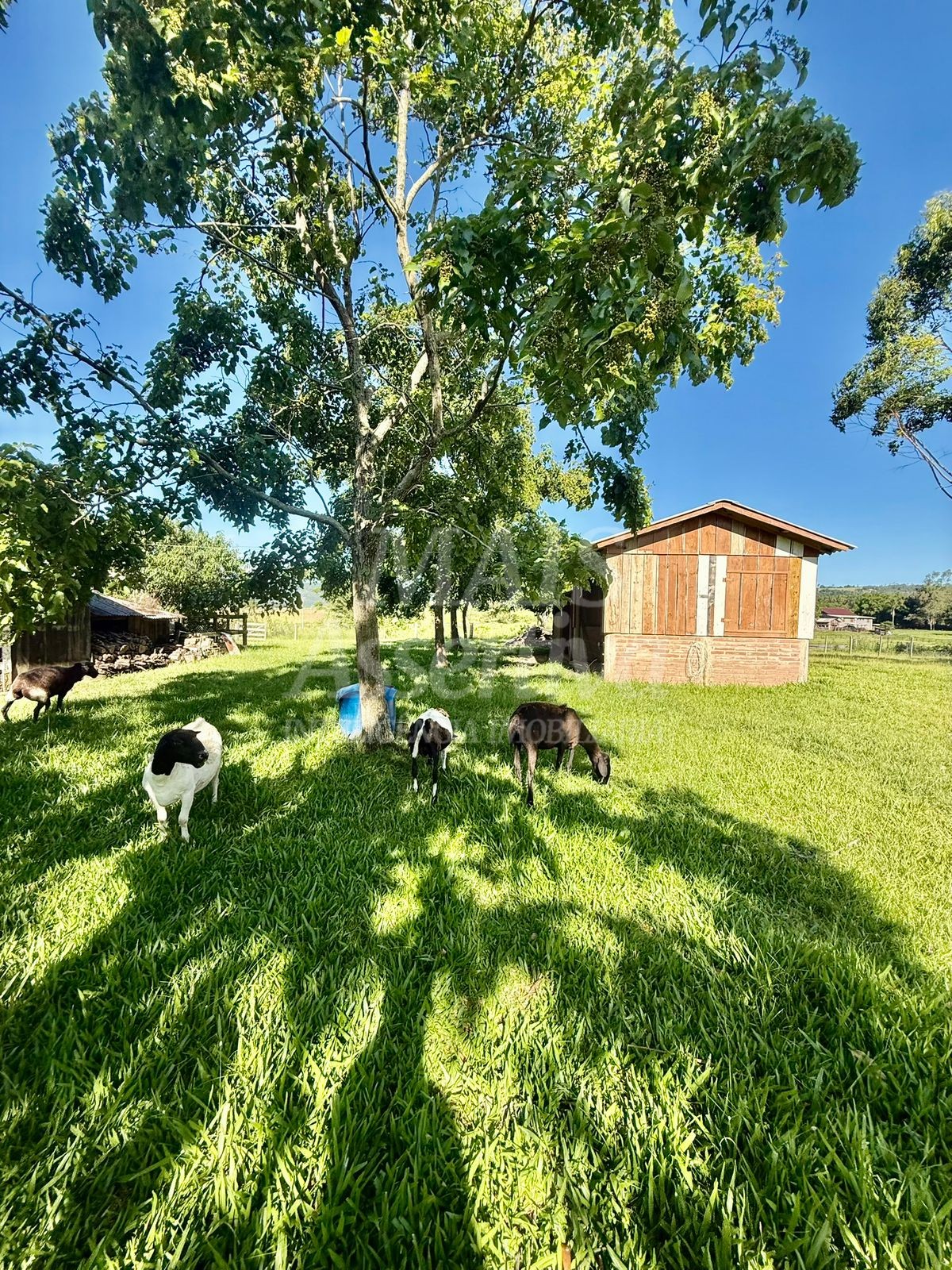 Chácara para Venda-Lomba Grande em Novo Hamburgo