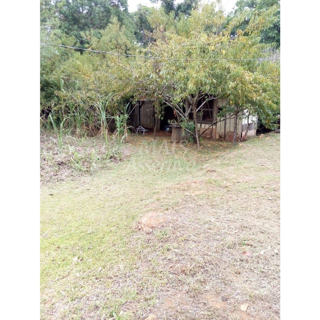 VENDE